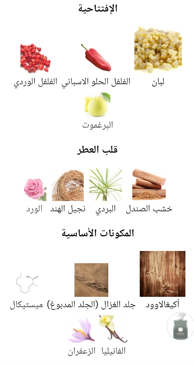 Purpose Amouage - الصورة 2