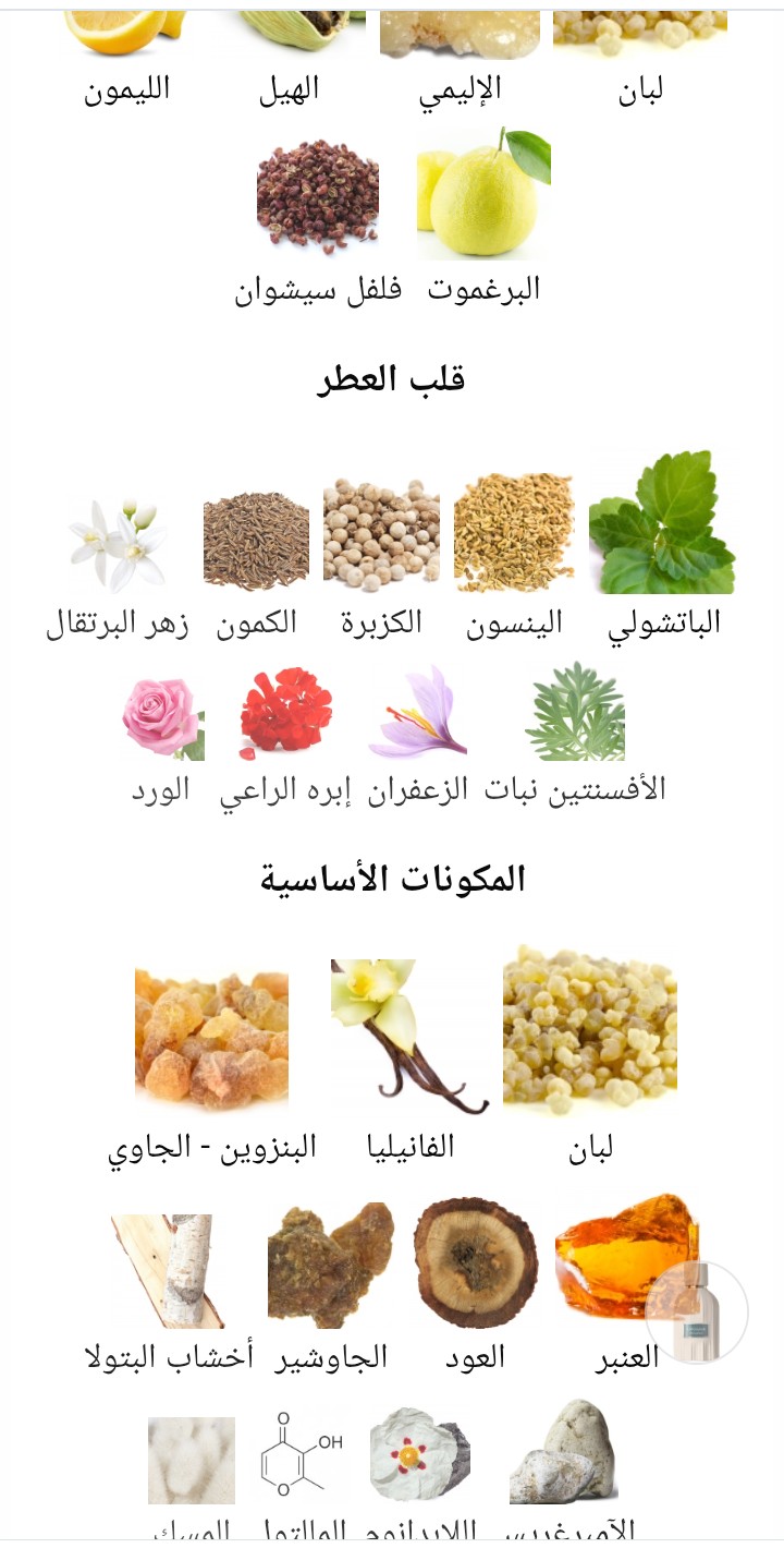 Outlands Amouage - الصورة 2