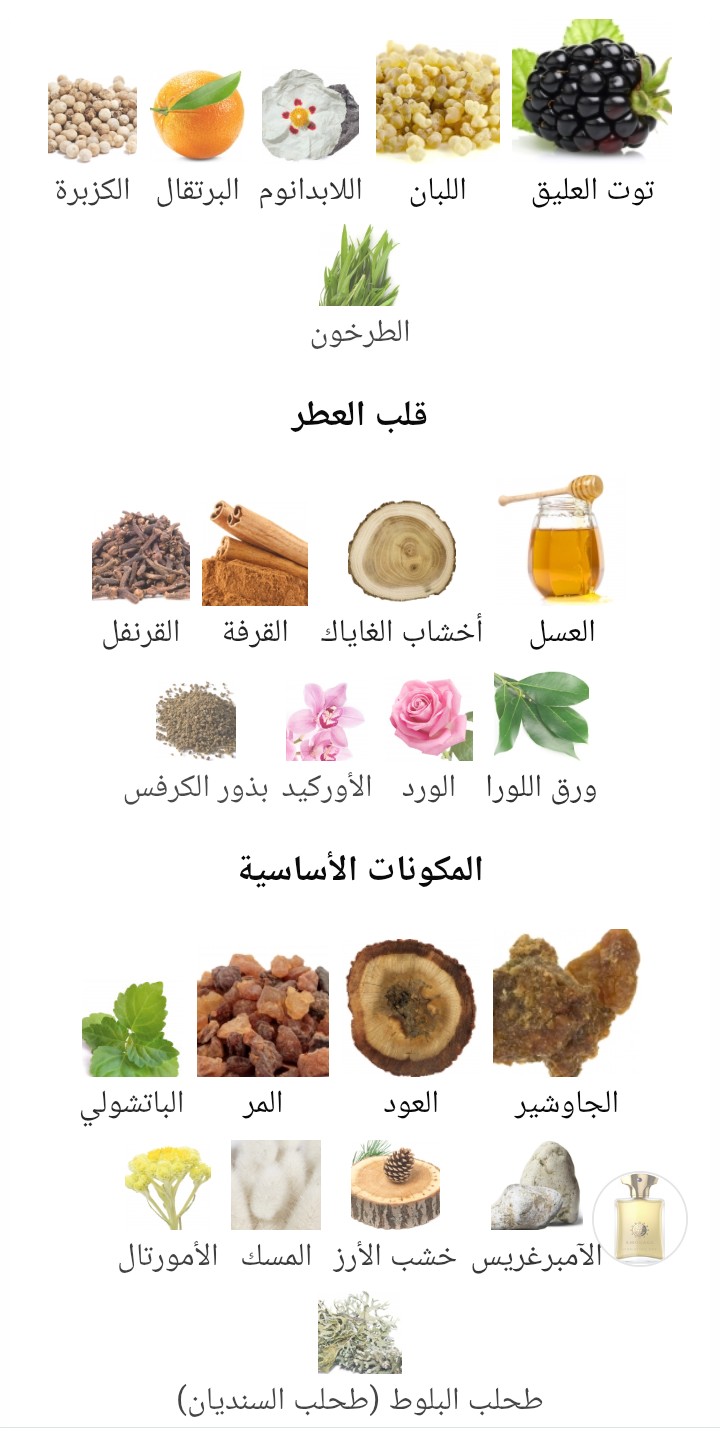 Jubilation Amouage - الصورة 2