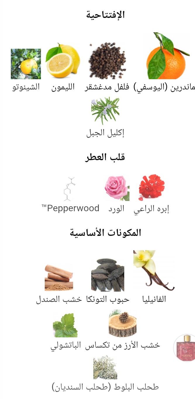 Eros Flame Versace - الصورة 2