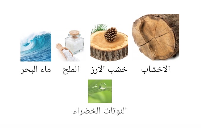 40 knots Xerjoff - الصورة 2