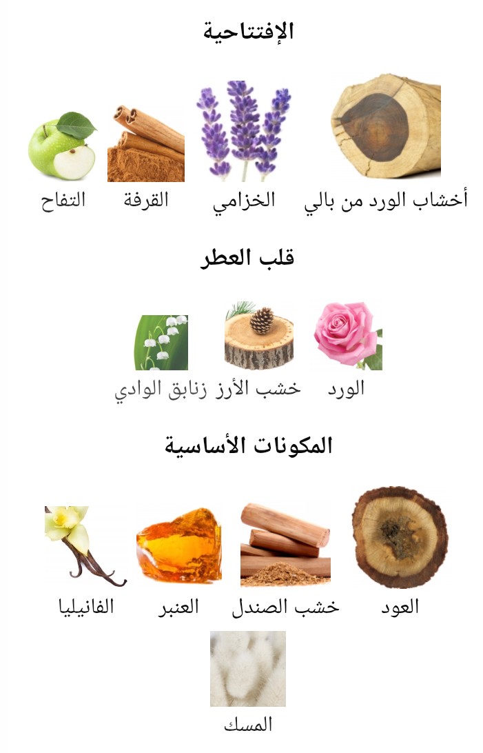 Alexandria 2 Xerjoff - الصورة 2