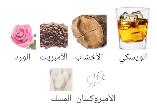 Baraonda Nasomatto - الصورة 2