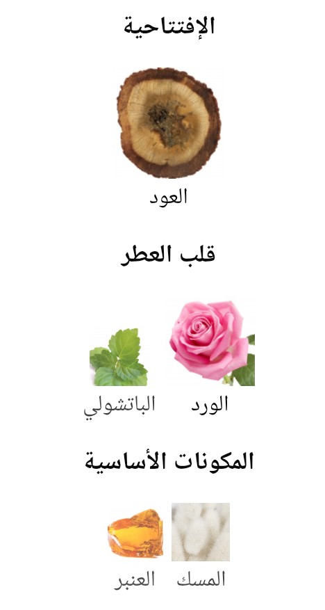 وودي العربية للعود Woody Arabian Oud - الصورة 2