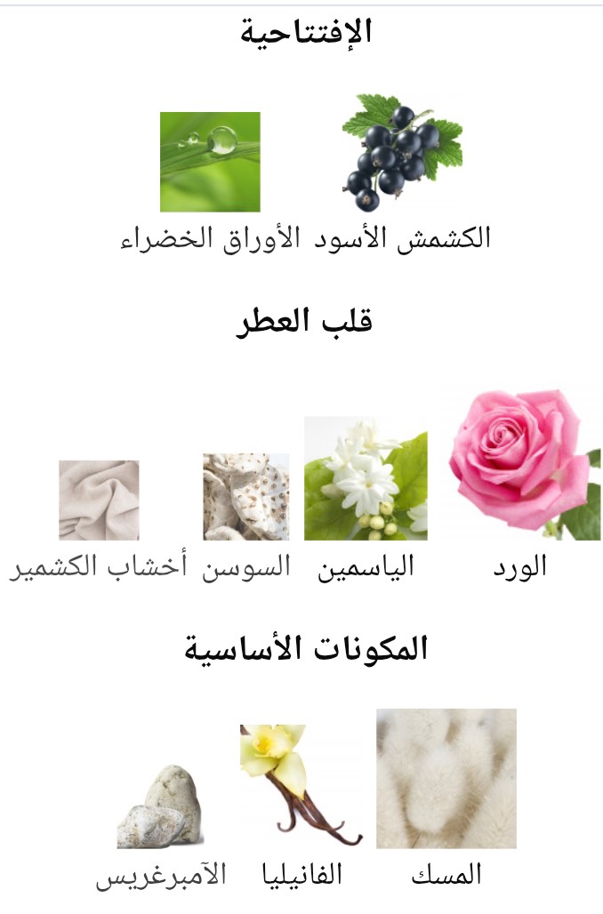 Miss Lavern Lavern - الصورة 2