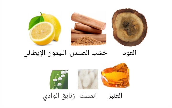 خلطة القرشي Al Qurashi Blend Abdul Samad Al Qurashi - الصورة 2