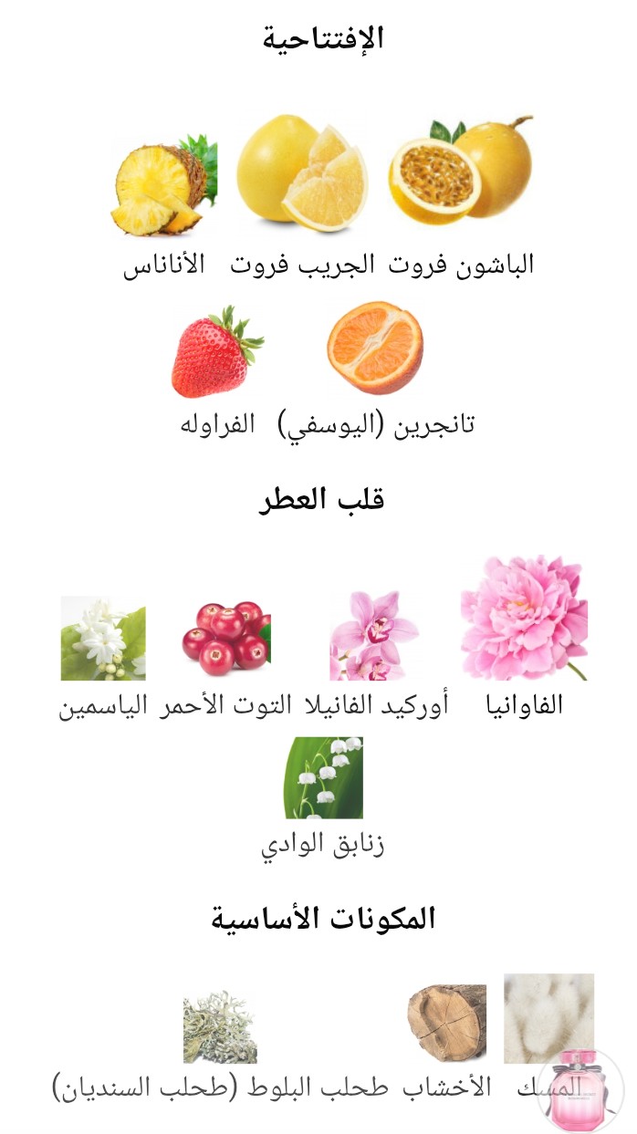 Bombshell Victoria's Secret - الصورة 2