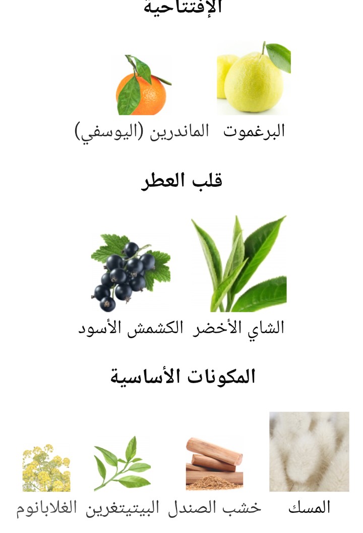 Silver Mountain Water Creed - الصورة 2