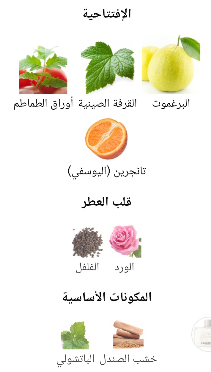 Essential Lacoste - الصورة 2