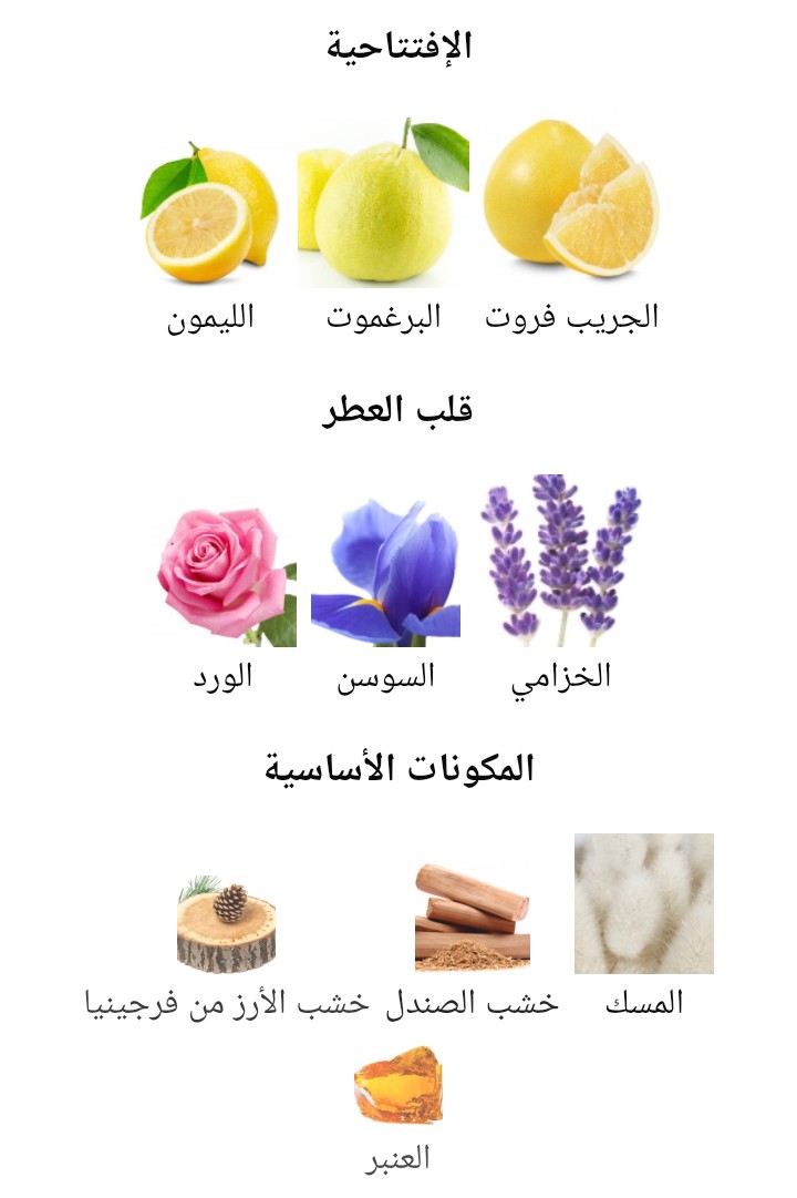 Mefisto Xerjoff - الصورة 2