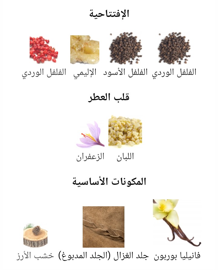 Babycat Yves Saint Laurent - الصورة 2